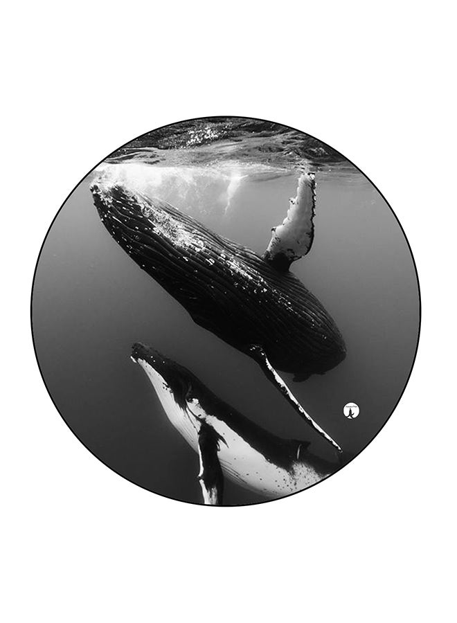 بي بي مغناطيس ثلاجة بطبعة حوت بحر رمادي / أبيض / أسود 5.5 x 5.5سم - Image 1