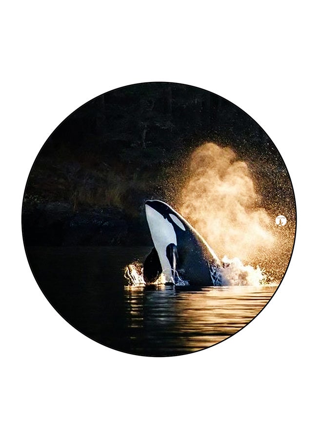BP Sea Whale Printed Fridge Magnet Multicolour 5.5 x 5.5cm - Image 1