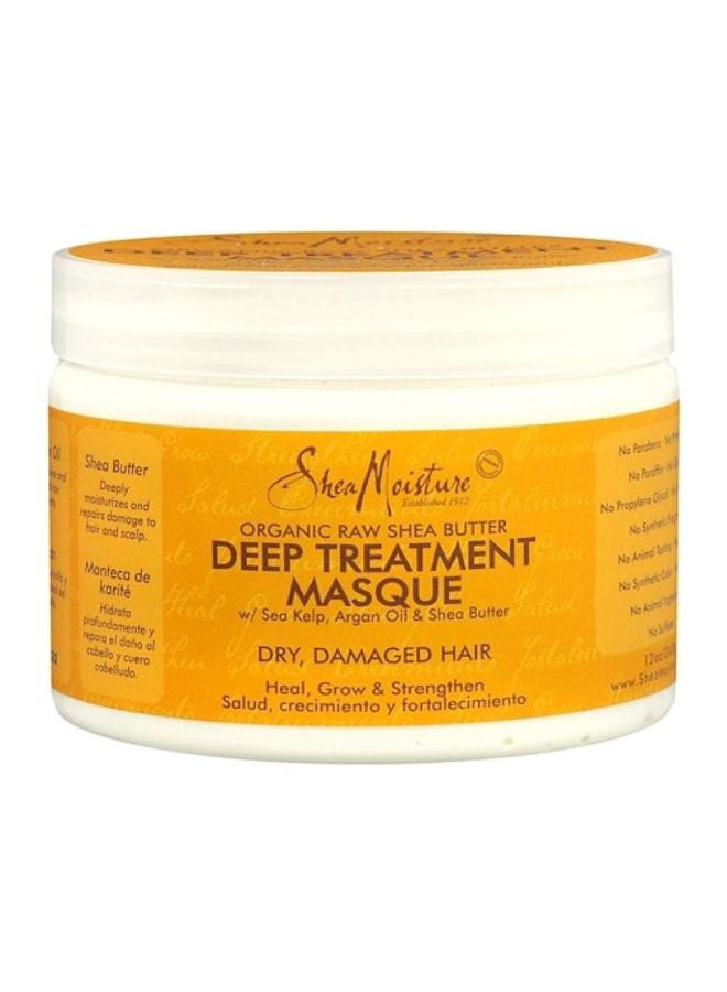 SheaMoisture Organic Raw Shea Butter Deep Treatment Hair Masque 453grams - Image 1