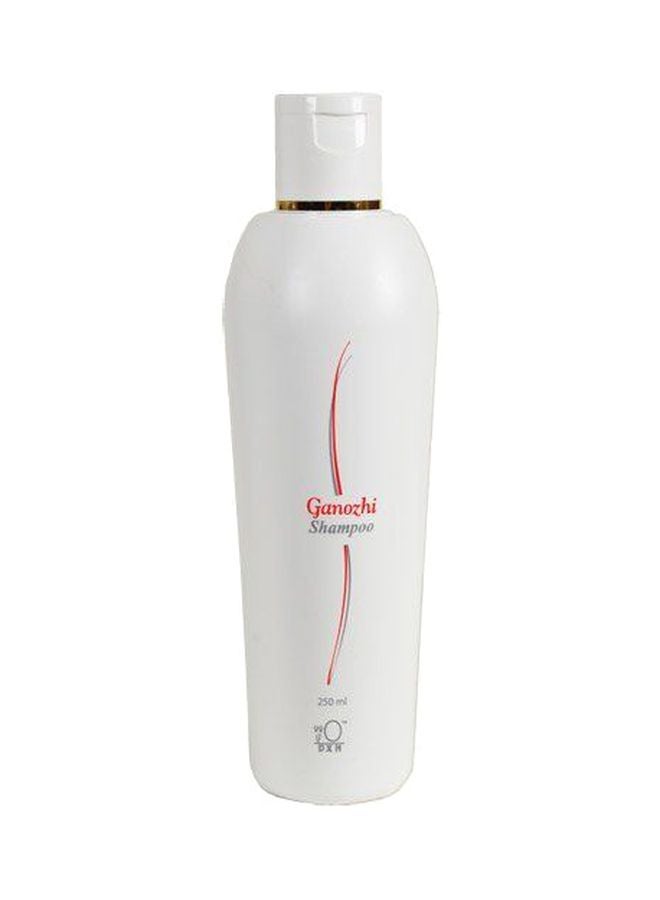 Ganozhi Shampoo 250ml - v1605180464/N23434016A_1