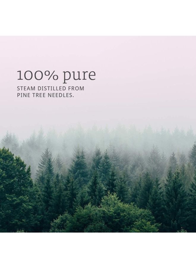 Now Foods Pine Needle Essential Oil 30ml - Image 4