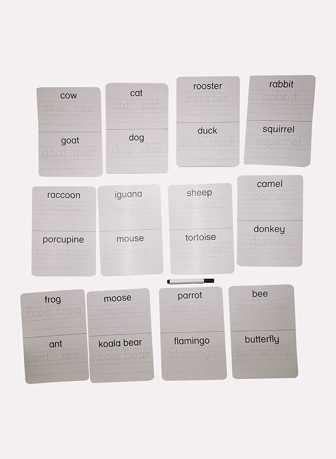 Kid's Learning Multicolours Animals Flash Cards 18 x 12.5cm - Image 3