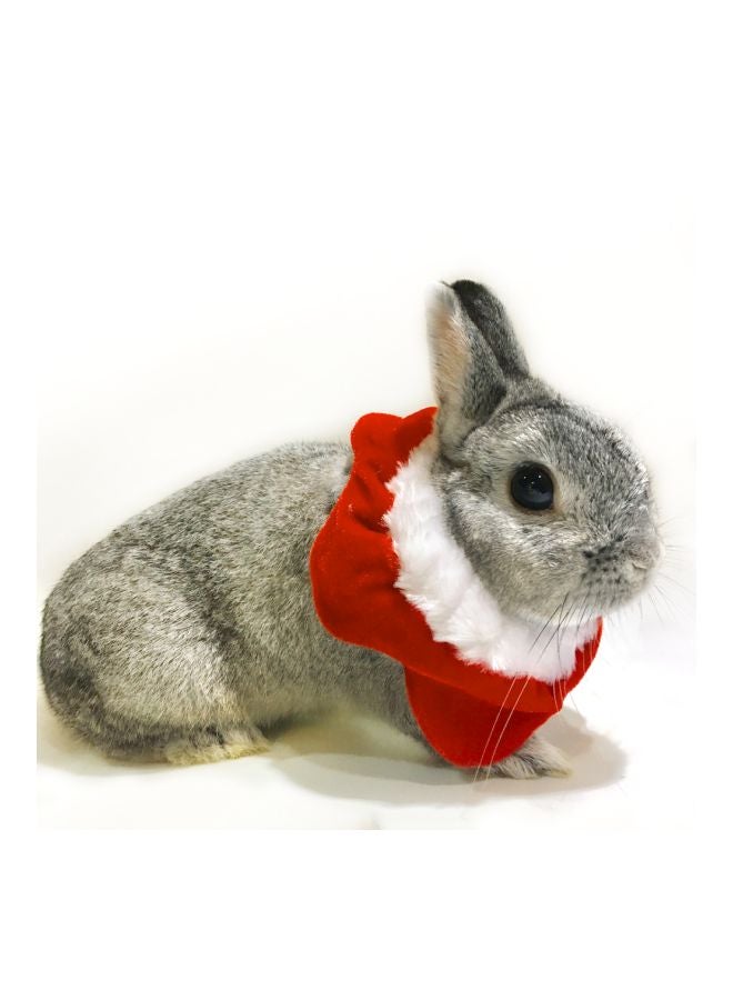 طوق عازل للحيوانات الأليفة مزين بنجمة خماسية أحمر/أبيض 9-15سم - Image 2