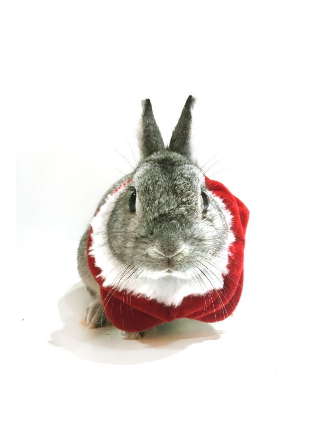 طوق عازل للحيوانات الأليفة مزين بنجمة خماسية أحمر/أبيض 9-15سم - Image 3