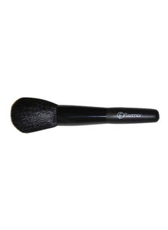 Compact Powder Brush Black - v1605264820/N41808110A_2