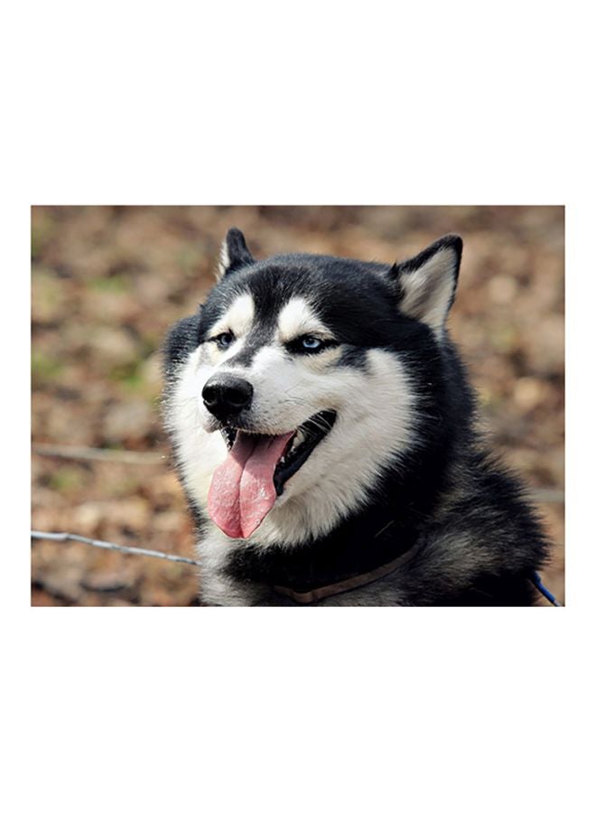Fast Print - Husky Dog Printed Self-Adhesive Wall Sticker Black/White/Brown 80x60cm - Image 1
