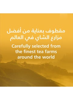 ربيع شاي زنجبيل 20 كيس  - Image 2