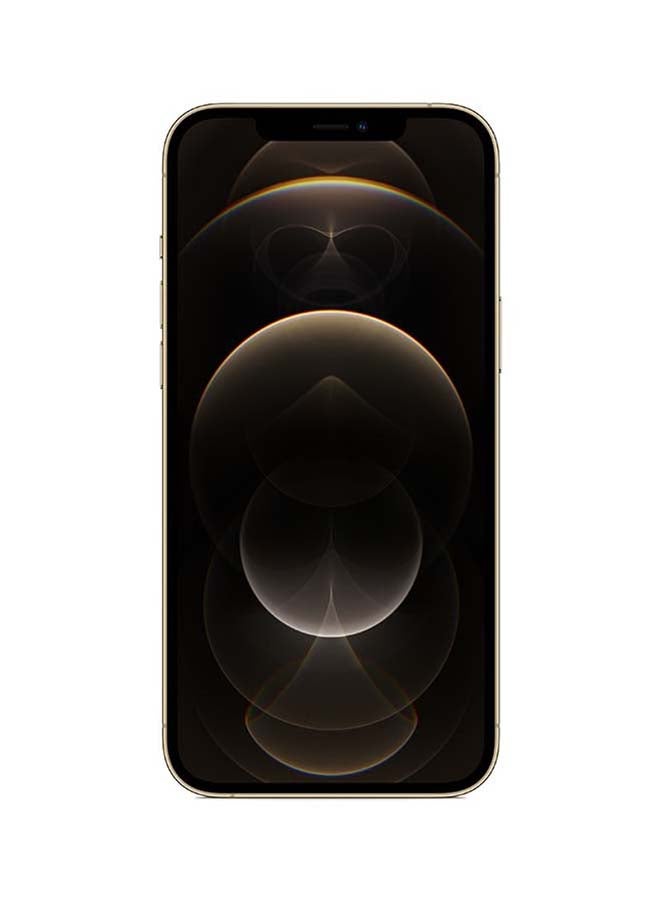 Apple - iPhone 12 Pro Max With Facetime Dual Sim 256GB Gold 5G - HK Specs - Image 1