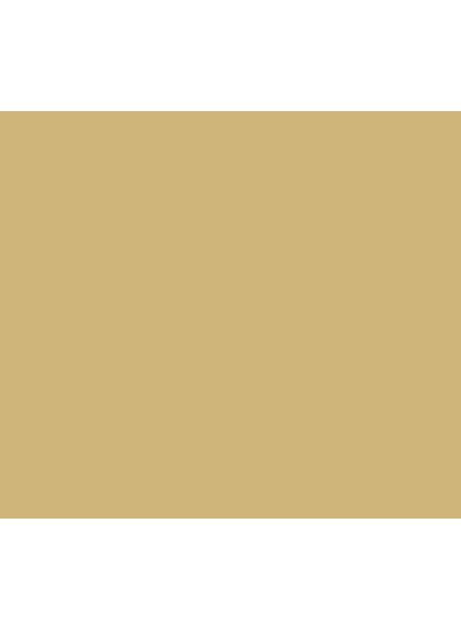 RUST-OLEUM - Universal Metallic Spray Paint 261415 Champagne Mist - Image 1