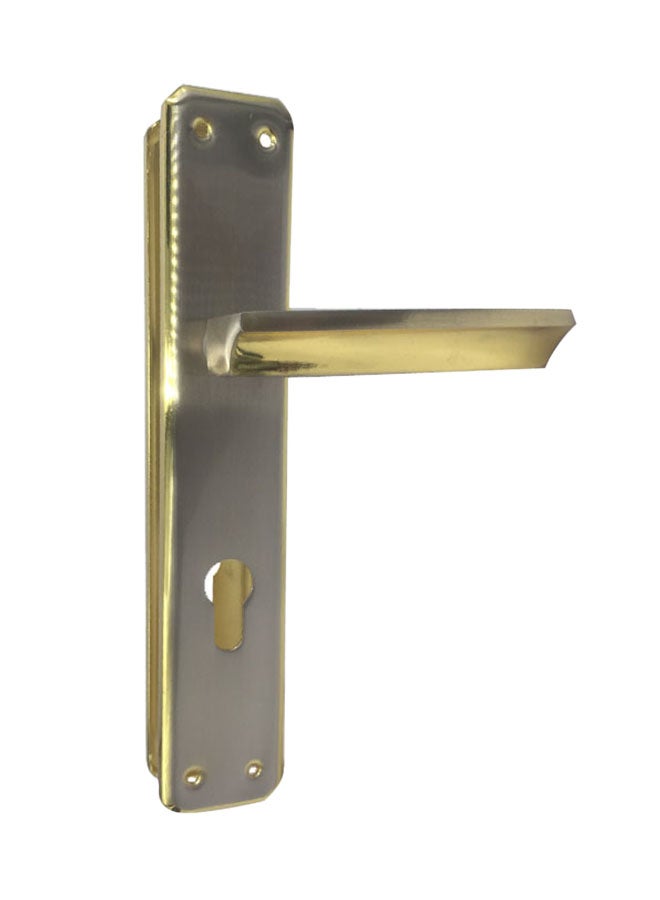 Iron aluminum door handle set silver/gold 58mm Multicolour - Image 1