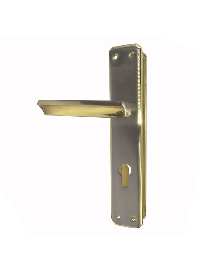 Iron aluminum door handle set silver/gold 58mm Multicolour - Image 3