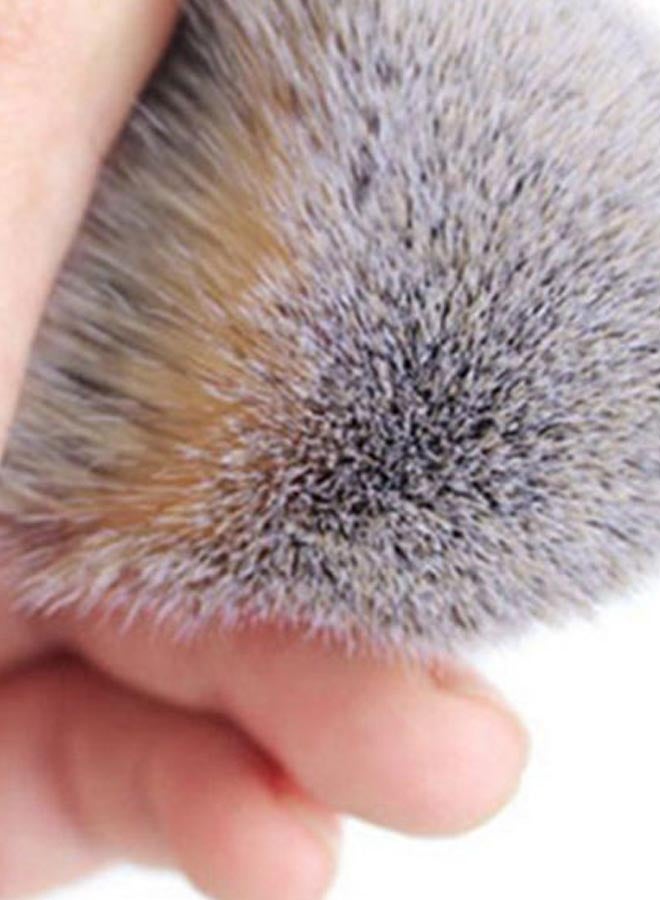 Foundation Brush Beige/Gold - Image 5