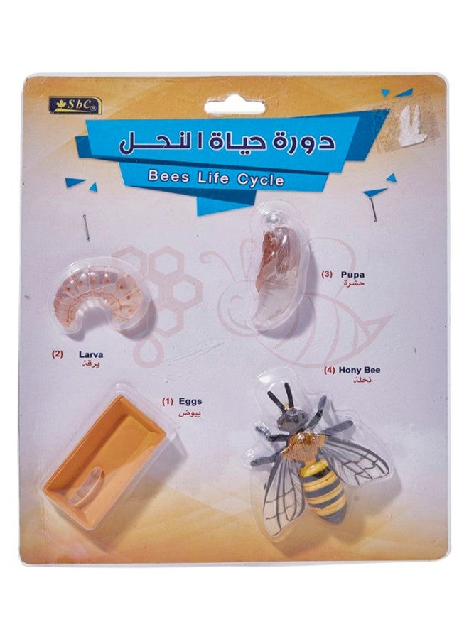 SBC Bees Life Cycle Educational Set Yellow/Black/Clear