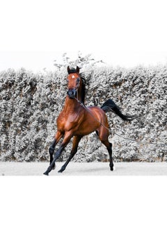 Horse Printed Wall Sticker Grey/Brown/White 120x90cm