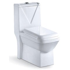Water Closet With Ceramic Toilet Seat 0805 White Standard