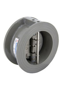 Cast Iron Dual Plated Check Valve Grey 2inch