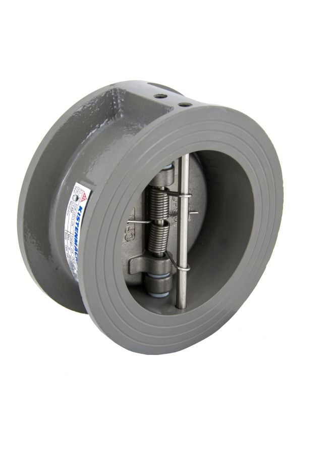 KISTENMACHER - Cast Iron Dual Plated Check Valve Grey 2inch - Image 1