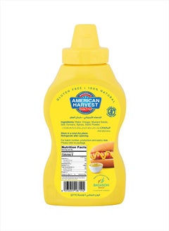 Classic Yellow Mustard Sauce 227grams - v1605872791/N41047699A_2