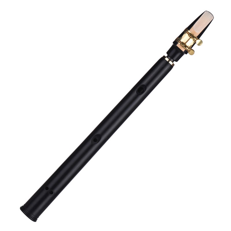ammoon Saxophone With Mouthpieces And Carrying Bag  - Image 4
