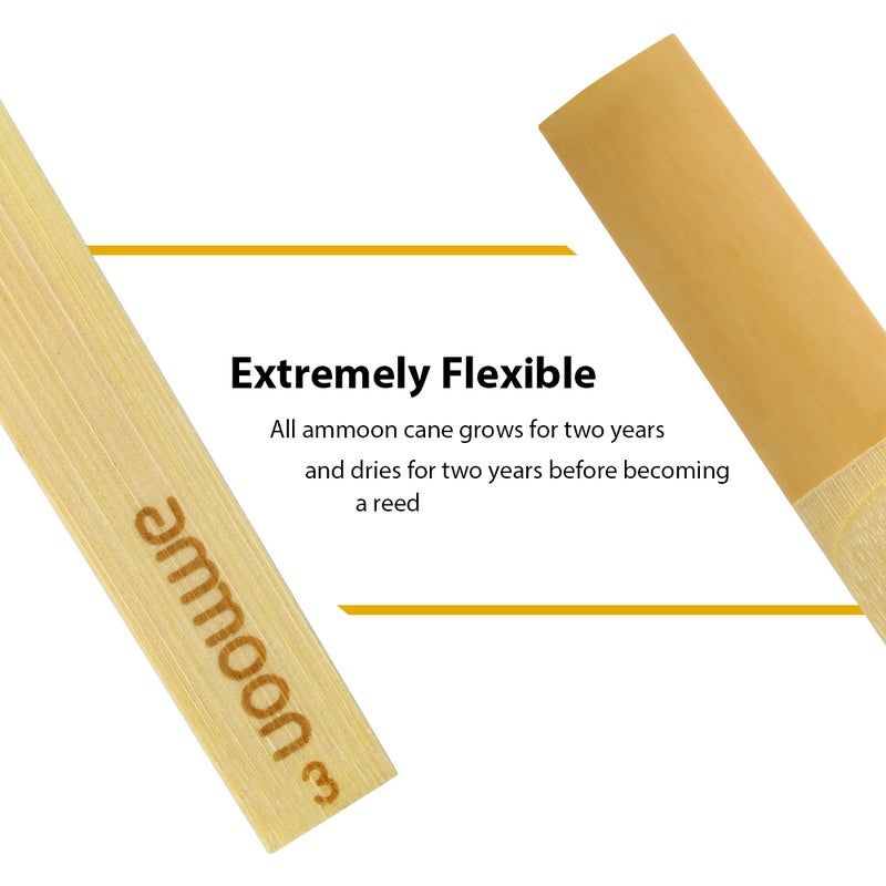 أمون مجموعة ملابس أطفال بي بي كلارينيت من وود ويندز بقوة تقليدية 3.0، 10 قطع/صندوق - Image 3