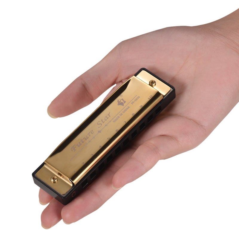 Generic 10 Holes C Key Black Gold Harmonica For Beginner  - Image 2