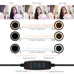 ماركة غير محددة حلقة إضاءة LED للكمبيوتر المكتبي مقاس 10 بوصة مع محول برأس كروي لحمل الهاتف أسود  - Image 4