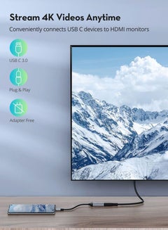 راف باور كابل من HDMI إلى النوع سي أسود/فضي  - Image 2