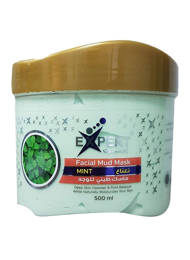 إكسبرت ماسك طيني للوجه بالنعناع أخضر 500ملليلتر