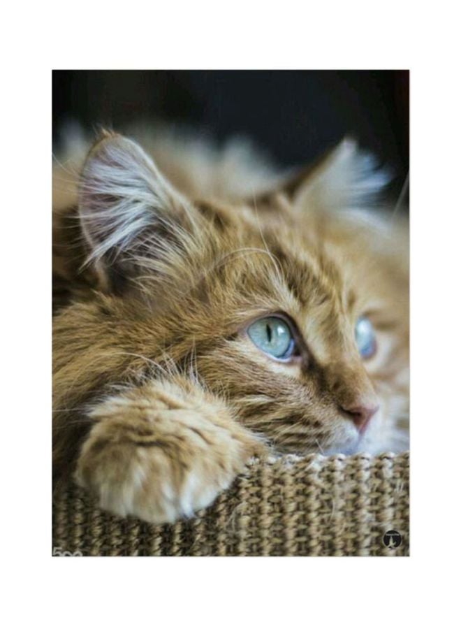 BP A Cat Mouse Pad Beige/Brown/Grey