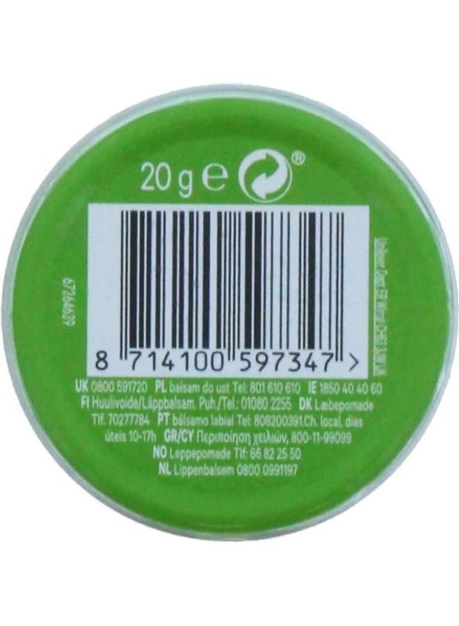 20G Lip Therapy Petroleum Jelly Aloe Vera Green - v1606242538/N42591520A_2