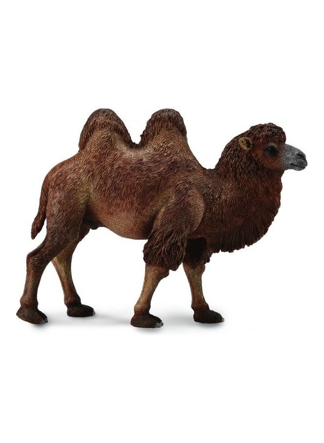 CollectA Bactrian Camel Animal Figure Toy