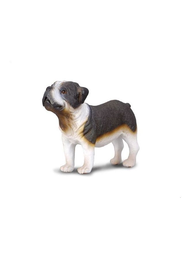 CollectA Bull Dog Animal Figure Toy