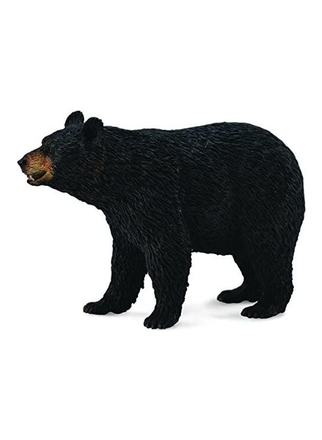 CollectA American Black Bear Animal Figure Toy