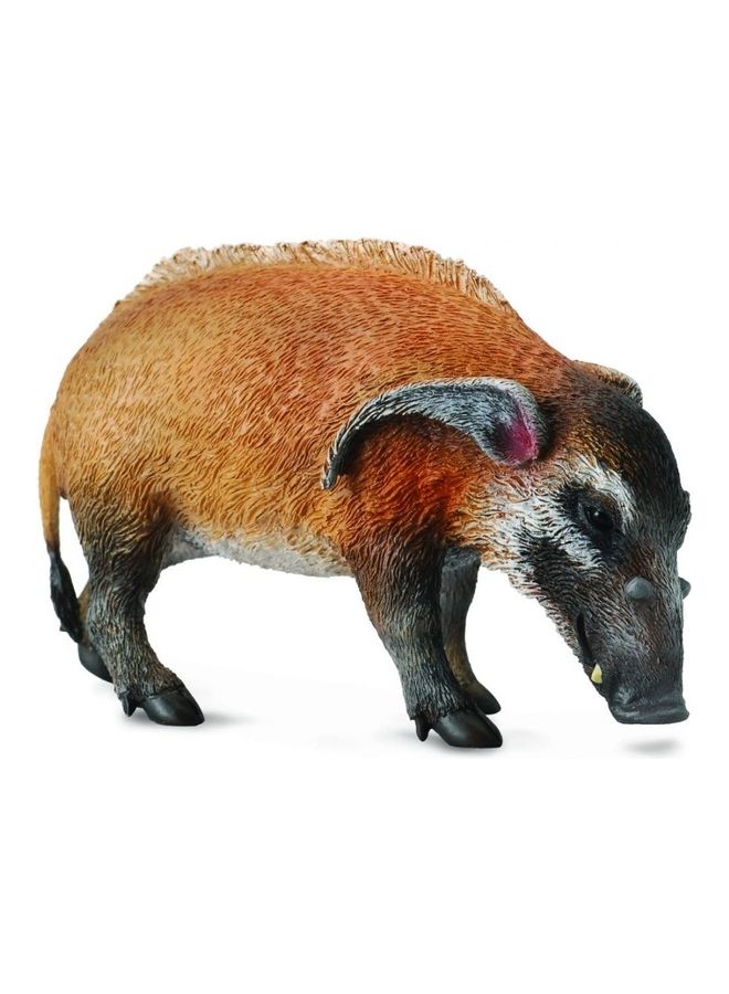 CollectA - Red River Hog Animal Figure - Image 1