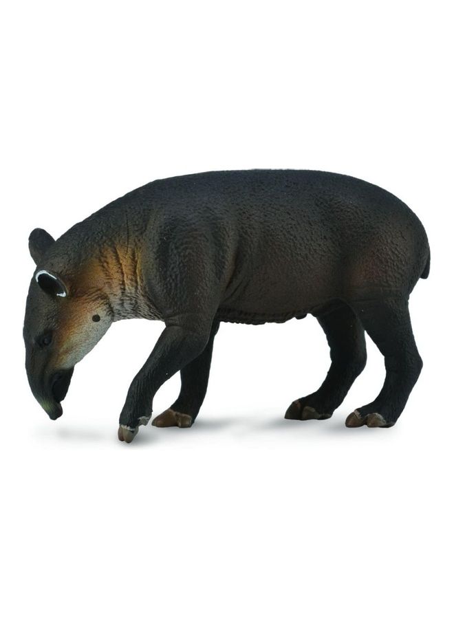CollectA Baird's Tapir Animal Figure Toy