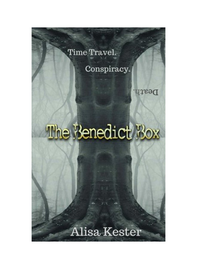The Benedict Box: A Time Travel Adventure (Molly Claire Book 2) paperback english - 01-Jan-2016 