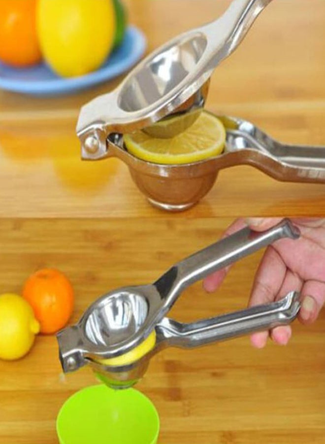 بيوينتي عصارة ليمون من الستانلس ستيل فضي 20.5x6.5سم - Image 2