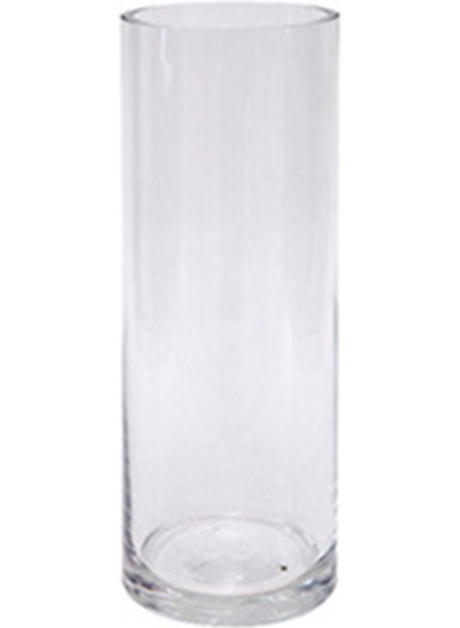 Beauenty Thickened Crystal Transparent Straight Tube Glass Classic Rose Vase White 25cm - Image 1
