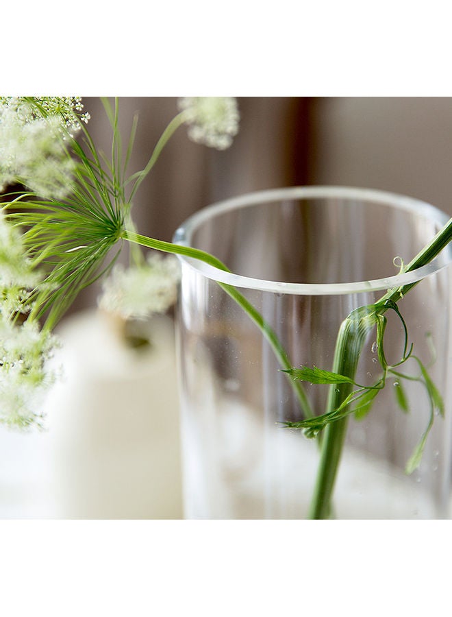 Beauenty Thickened Crystal Transparent Straight Tube Glass Classic Rose Vase White 25cm - Image 2