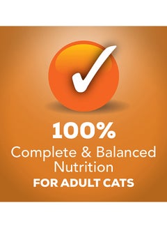 PURINA Friskies Chunky With Chicken In Savory Gravey Multicolour 156grams  - Image 3