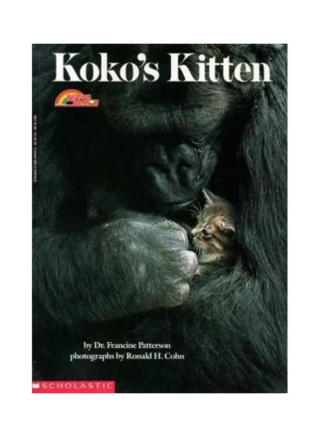Kokos Kitten paperback english - Image 2