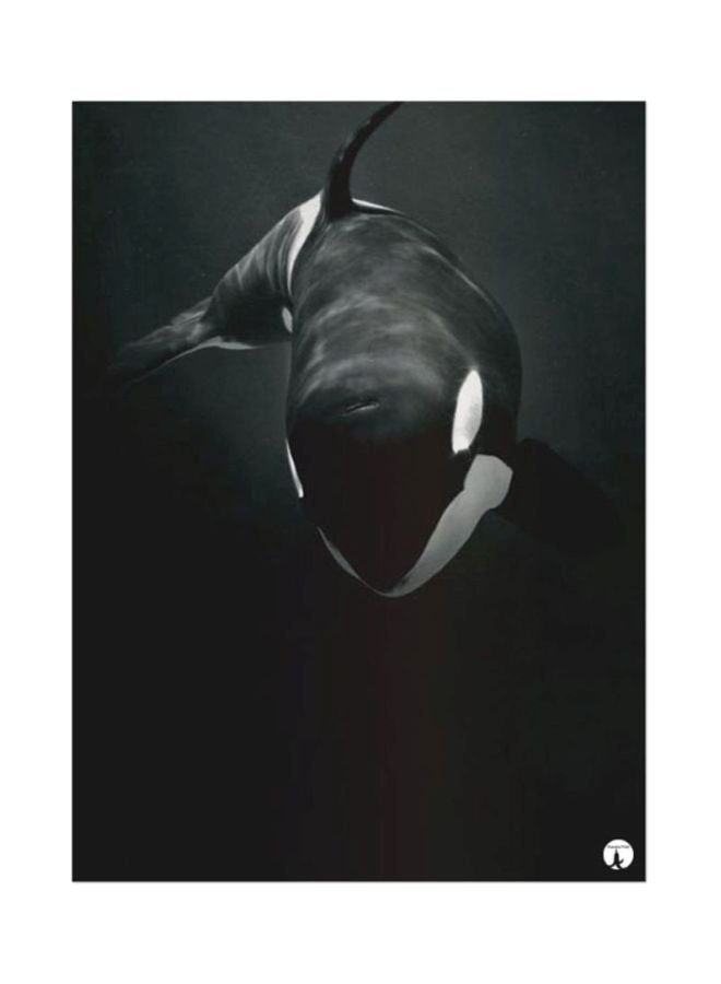 BP The Killer Whale Mouse Pad Black/Grey