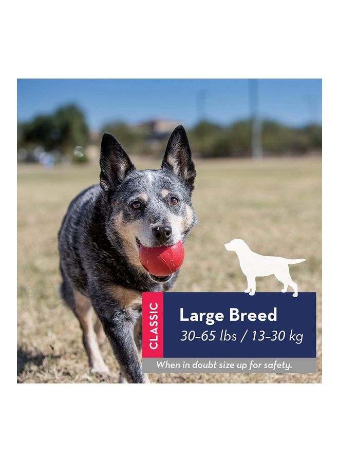 Kong Durable Rubber Ball Red Medium - Image 2