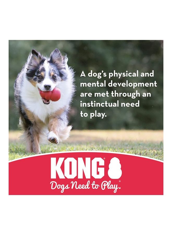 Kong Durable Rubber Ball Red Medium - Image 4