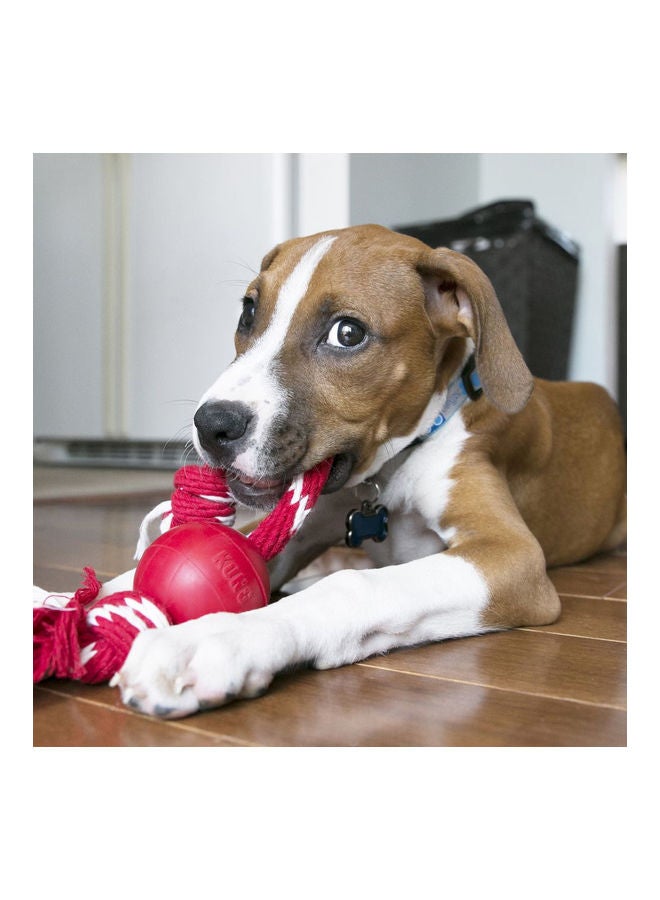 كونج كرة مع حبل أحمر/أبيض small - Image 2