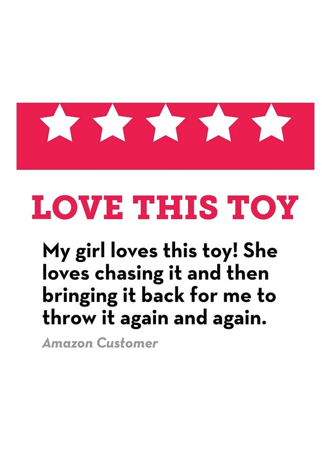 كونج كرة مع حبل أحمر/أبيض small - Image 4