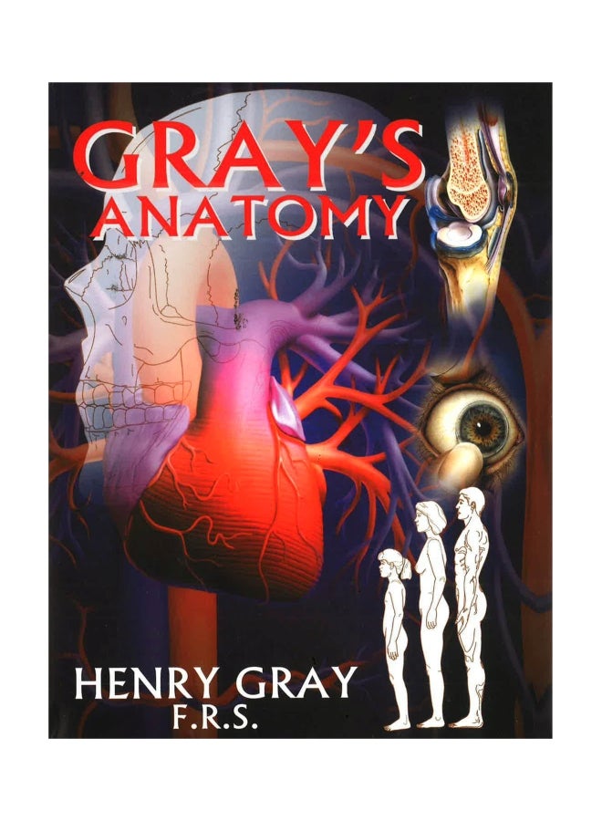 Grays Anatomy Hardcover English by Henry Gray F. R. S  - Image 1