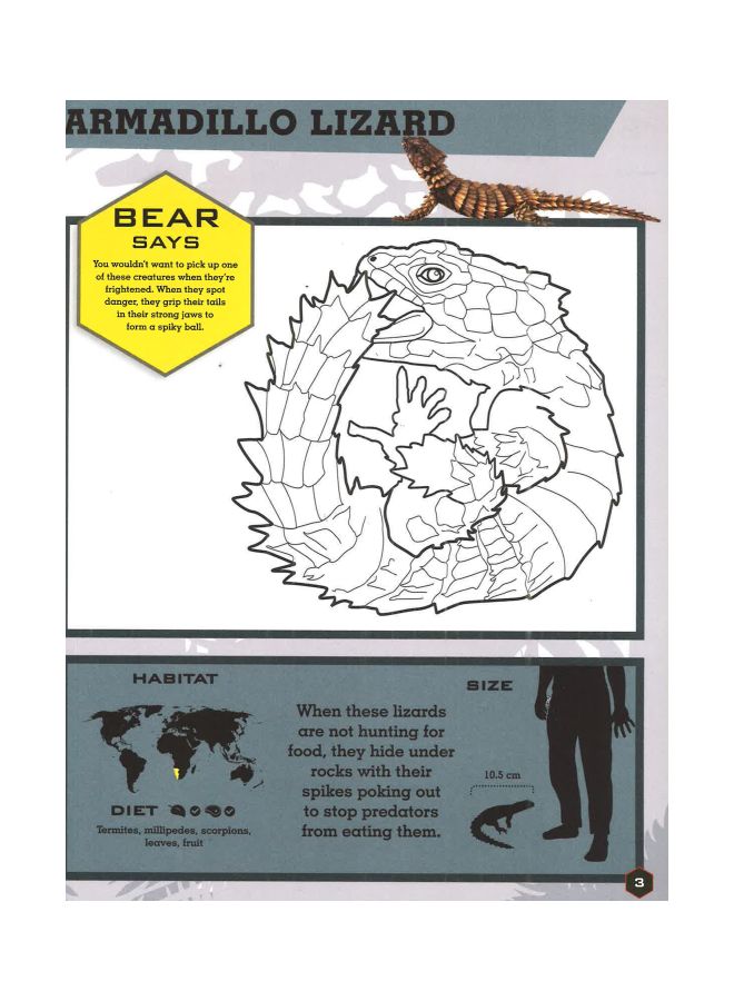 null - Bear Grylls: Reptiles And Amphibians Colouring Book : Packed Full Of Fun Facts And Creatures To Colour In paperback english - 22 Sep 2016 - Image 1