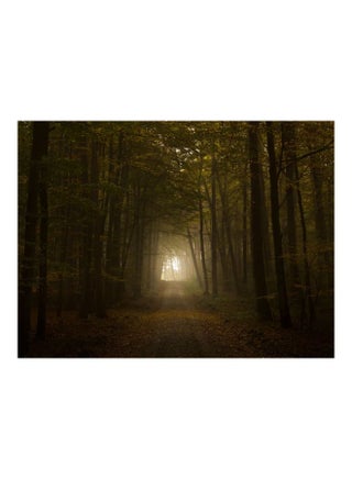 Wood Printed Self Adhesive Wall Sticker Yellow/Green/Brown 60x45cm - v1606992942/N40303073A_1