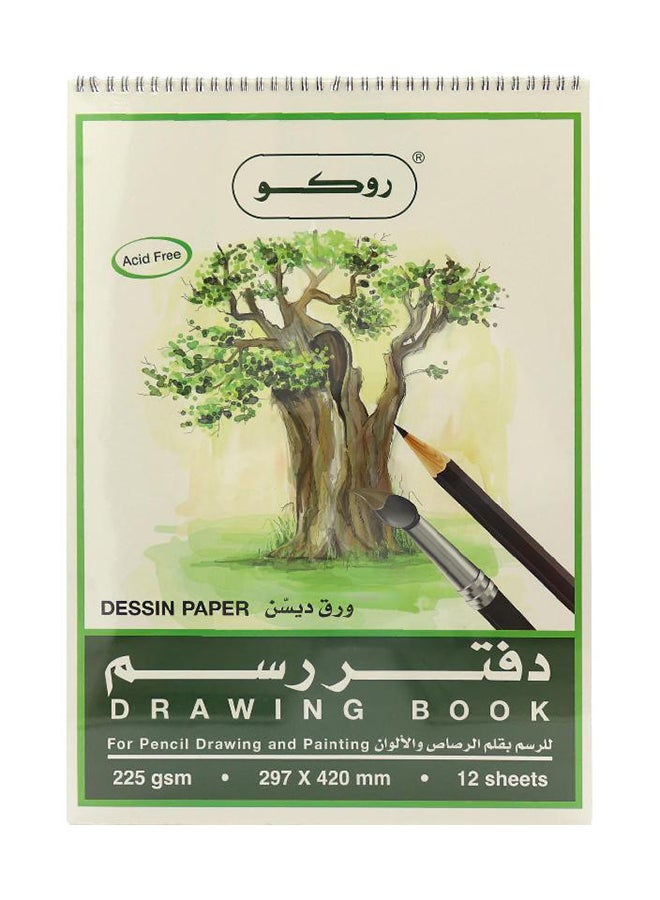 ROCO Sketch Book, Assorted Color, A3 (29.7 X 420 mm), 225.00 g ( 7.94 oz multicolour